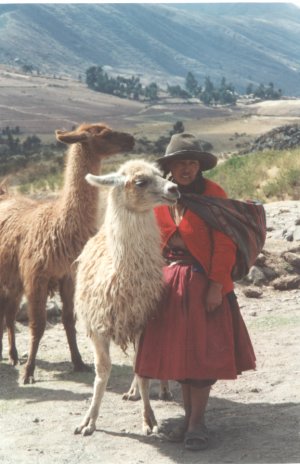 Cuzco3.jpg