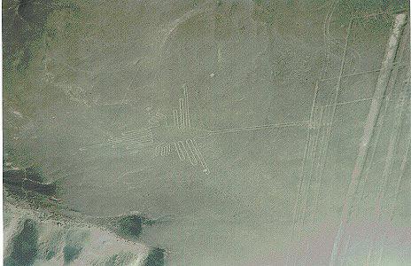 Nazca1.jpg